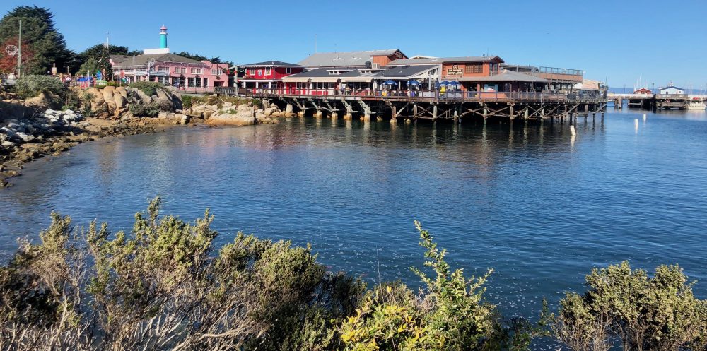 Urban & Environmental Studies